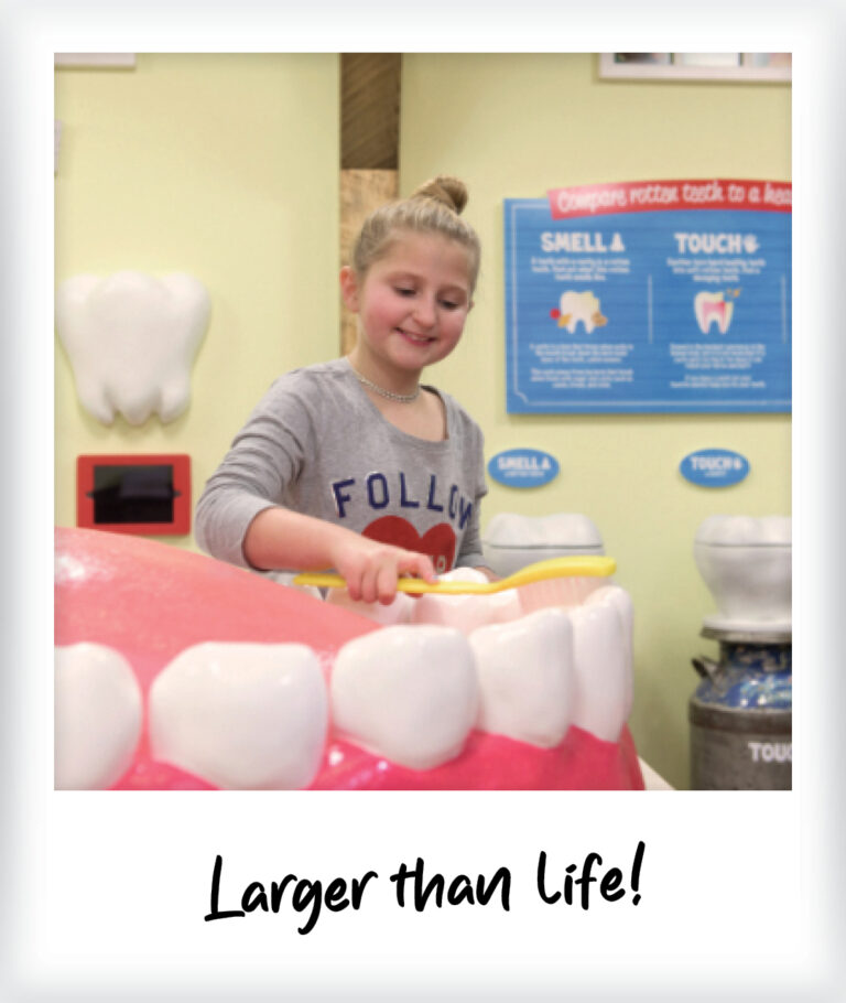 product-polaroids-education-station