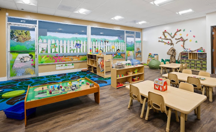 View of cozy daycare room with backyard-themed glass window murals