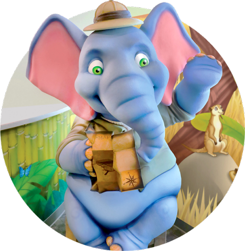 project-theme-safari