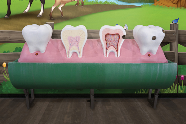 A large dental model displaying four teeth at different stages of decay sits in front of a cartoon mural with horses and a wooden fence in the background.