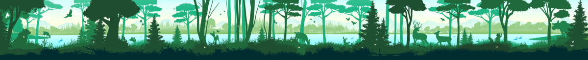 Silhouette Mural - Woodland 1