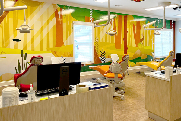 A bright dental office with colorful, forest-themed wall art, multiple dental chairs in red, yellow, and orange, two computer stations, and large windows letting in natural light.