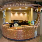 before-and-after-adding-themed-decor-in-office2-min